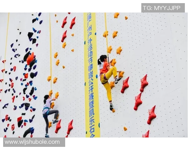 攀岩精神的传承与发展南京攀岩队的意识形态探索与实践