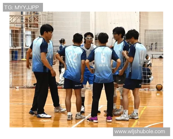 成都排球队逆袭之旅挑战赛特别报道展现团结拼搏精神与辉煌成就